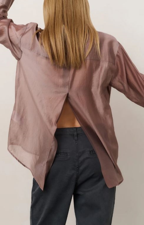 Sheer Blouse With Back Slit